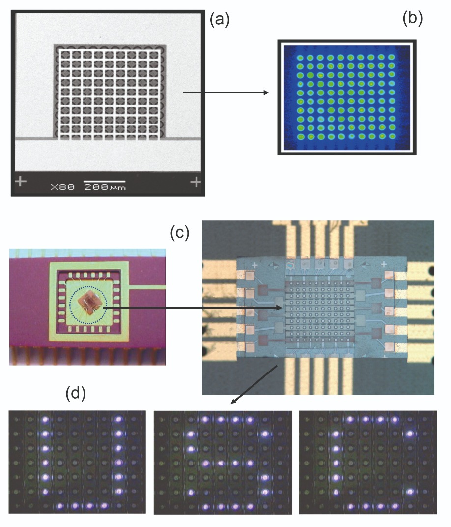 evolution of the deep-UV LED -